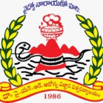 Nursing-universities-2-150x150